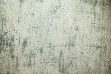 A textured surface with a mottled appearance in beige and light green tones. The surface appears uneven with isolated dark spots and an overall weathered appearance.