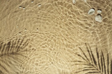 Sandy beach with a gentle wave pattern and scattered shells partially submerged in the water. The shadow of a palm frond is visible on the sand.