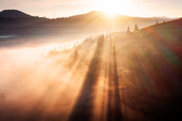 Spectacular misty landscape with sunbeams breaking through the trees.