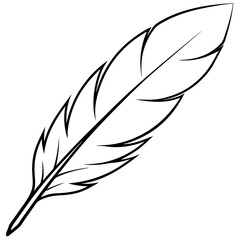 feather on white