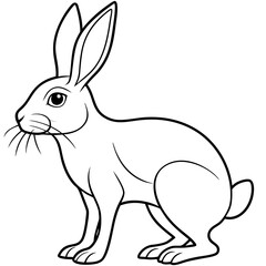 illustration of a rabbit