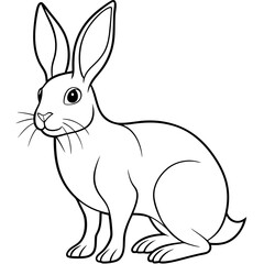 illustration of a rabbit