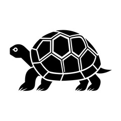 illustration of a turtle