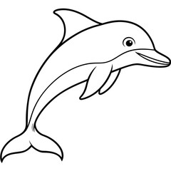 dolphin isolated on white background
