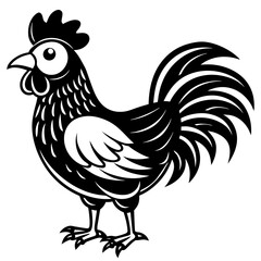 rooster isolated on white background