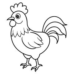 rooster isolated on white background