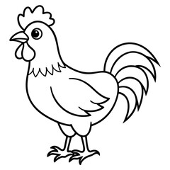 hen and rooster isolated