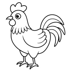 rooster isolated on white background