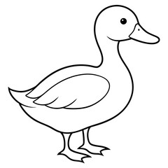 duck isolated on white