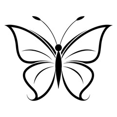 black and white butterfly