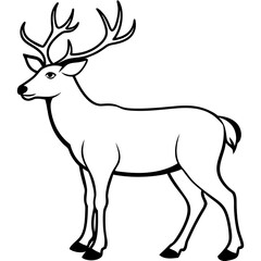 Fototapeta premium deer silhouette vector