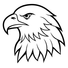 eagle head vector illustration