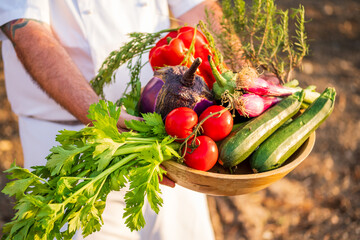 chef hold bucket of fresh healthy organic raw vegetable for recipe 