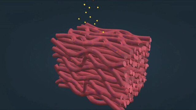 Effect of beta blockers