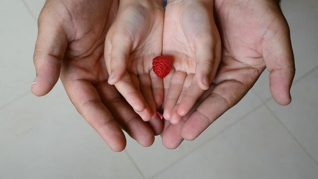 A father holding his daughter hands which is holding roseberry