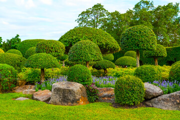 English garden trees bushes trimmed in geometric correct shapes landscape design