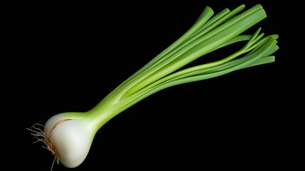 onion isolated on white
