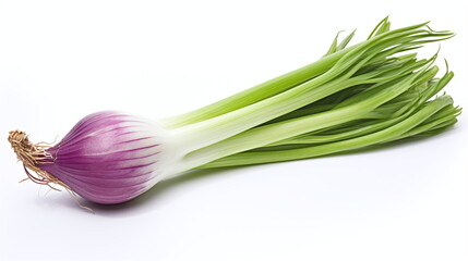 onion isolated on white