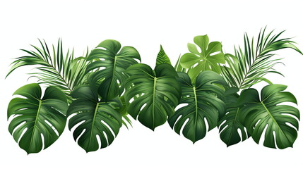 tree leaves monstera