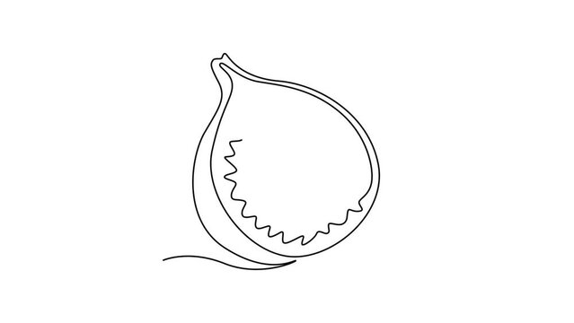 Animated self drawing of continuous line draw half sliced healthy sweet organic figs for orchard logo identity. Fresh summer fruitage concept for fruit garden icon. Full length single line animation