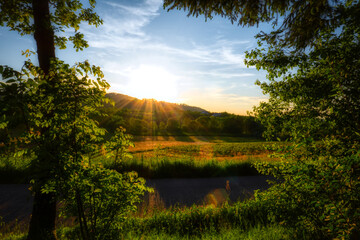 Fototapeta premium lake in the forest