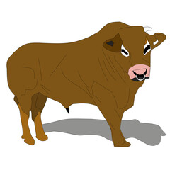 illustration of a stocky cow on a white background