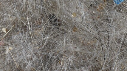 Intimate macro lens reveals a labyrinth of household detritus: interwoven cat fur, human hair, and dust particles. Each fiber tells a story of domestic life's minutiae. Dust background.
