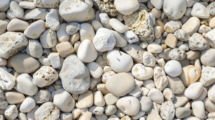 Detailed view of garden gravel, smooth pebbles, earthy tones, bright daylight.