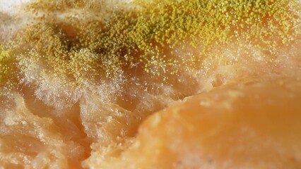 Bread's decay unfolds: A close-up reveals yellow and white mold thriving, with spore clusters...