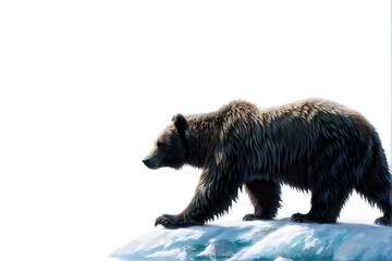 Fototapeta premium Bear in white background