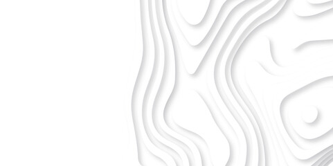 Abstract white paper cut background with lines. Background of the topographic map. White wave paper curved reliefs abstract background. Realistic papercut decoration textured with wavy layers.