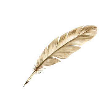 recommend clip art: feather quill dip pen, watercolor illustration of historical theme, antique devices for writing, symbol of poets writers and scientists white background