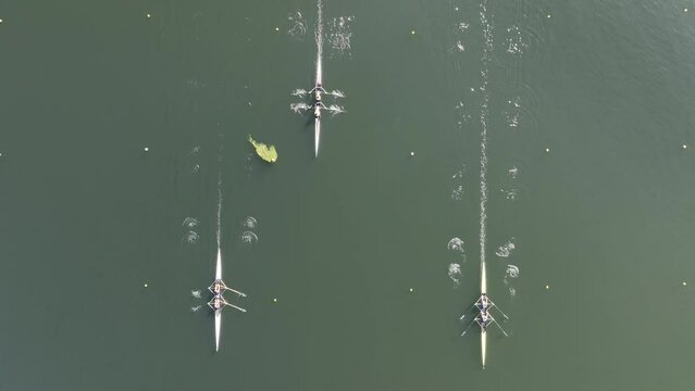 Regata del Parque Nautico de Castrelo de Mi&ntilde;o en Ourense
