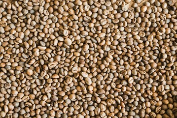 A close-up of raw unroasted coffee beans, displaying a natural earthy texture. Ideal for backgrounds, rustic designs, or coffee culture events and cafe promotions.