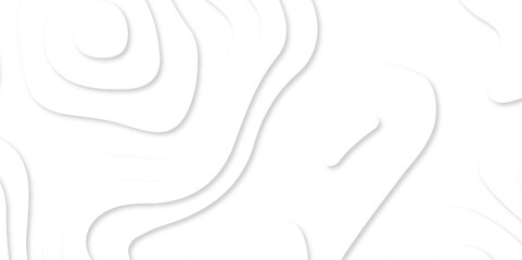 Abstract white paper cut background with lines. 3d white papercut topography relief. Cover layout template. topographic canyon geometric map relief texture with curved layers and shadow.
