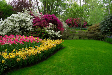 Fototapeta premium Park of blooming flowers