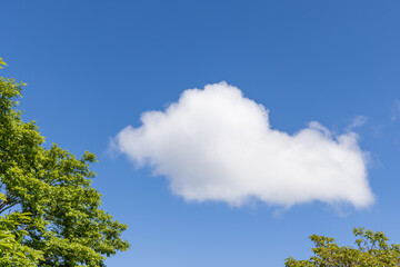 Obraz premium sky and clouds