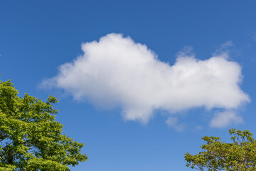 Obraz premium sky with clouds