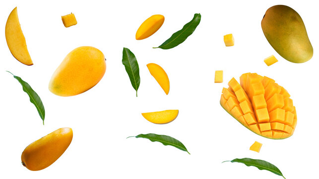 Mango slices and leaves flying isolated on a white background.