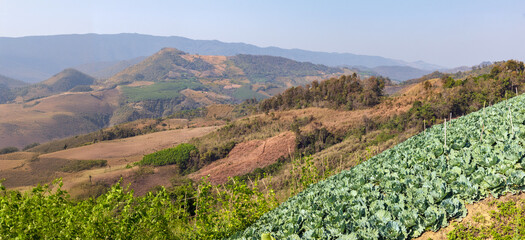 The biggest cause of forest loss is agricultural deforestation ,environmental damage in Southeast Asia , global warming and environment.