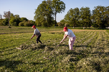 Two women farmers working in the field with pitchforks and rakes