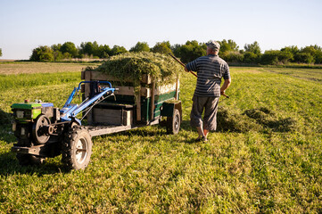 Obraz premium Senior farmer harvesting hay on a farm in sunny summer day with tractor