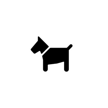silhouette of a dog