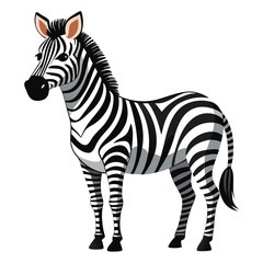 Zebra vector illustration, cute animal vector illustration, Zebra illustration vector, cute Zebra cartoon illustration