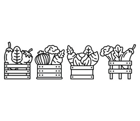 Fototapeta premium harvest vegetable fresh in wooden box icons vector design symbol simple line black white colors illustration sets