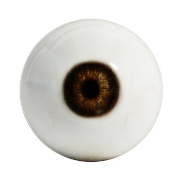 Eyeball isolated on transparent background. 3D illustration