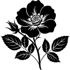 black and white flowers