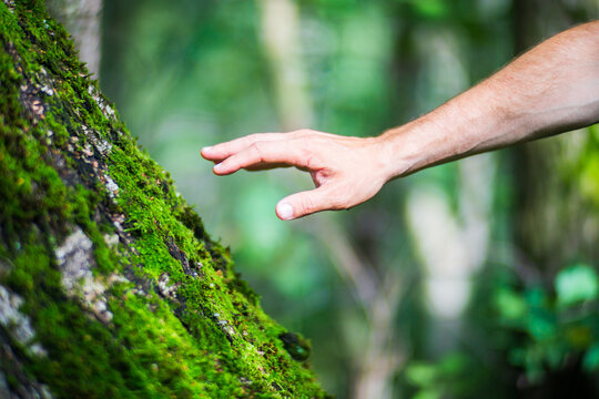 A man's hand touch the tree trunk close-up. Bark wood.Caring for the environment. The ecology concept of saving the world and love nature by human