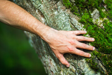 A man's hand touch the tree trunk close-up. Bark wood.Caring for the environment. The ecology concept of saving the world and love nature by human