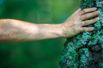 A man's hand touch the tree trunk close-up. Bark wood.Caring for the environment. The ecology concept of saving the world and love nature by human
